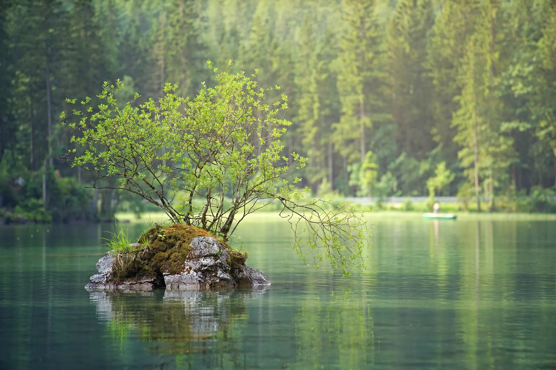 See in grüner Natur mit sauberem Wasser